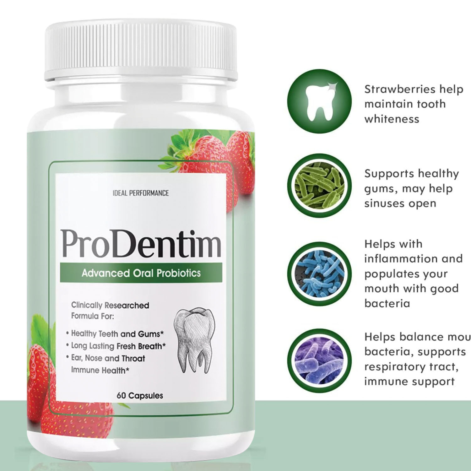 Probiotik Oral Canggih - Menye - Teeth Whitening Gum ulasan dan harga
