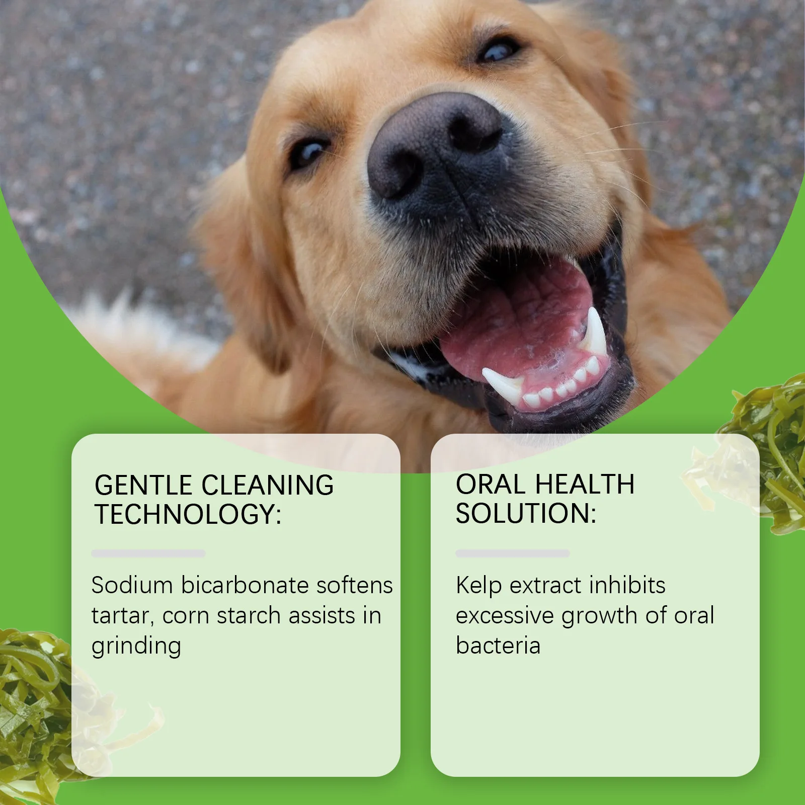 Bubuk Pembersih Gigi Anjing Ye - Teeth Whitening Gum ulasan dan harga